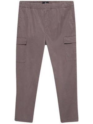 Foto van product Cargobroek 7 For All Mankind grijs