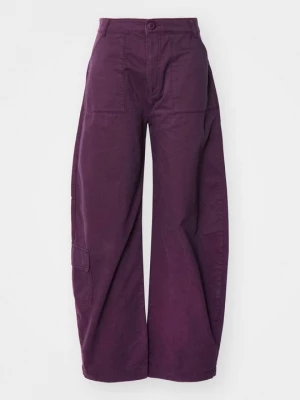 Foto van product Cargobroek Alpha Industries paars