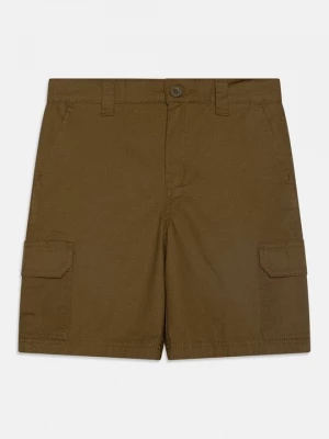 Foto van product Cargobroek Dickies donkergroen