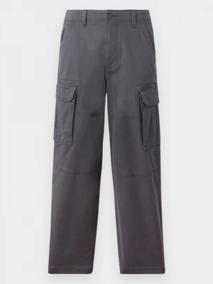 Foto van product Cargobroek Hollister Co. grijs