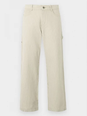 Foto van product Carpenter-jeans Dickies lichtgroen