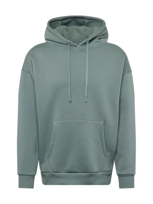Foto van product Cars Jeans Sweatshirt 'FERGAL' pastelgroen