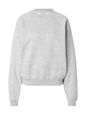 Foto van product CATWALK JUNKIE Sweatshirt grijs