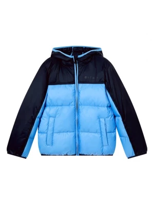 Foto van product Champion Winterjas navy / hemelsblauw
