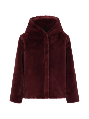 Foto van product CHUBBA Tussenjas 'Fashion Look' bourgogne