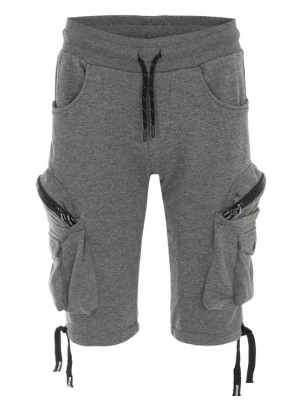 Foto van product CIPO & BAXX Cargobroek grijs