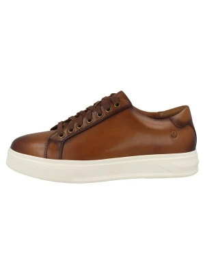 Foto van product CLARKS Sneakers laag '26186559' lichtbruin