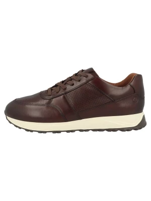 Foto van product CLARKS Sneakers laag 'Radwell Tie' chocoladebruin