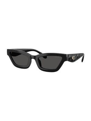 Foto van product COACH Zonnebril 'CAD28' zwart