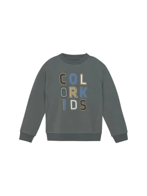 Foto van product COLOR KIDS Trui ' COSweat W. JR. Logo Print ' groen