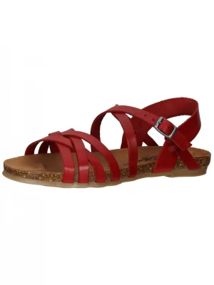Foto van product COSMOS COMFORT Sandalen met riem rood