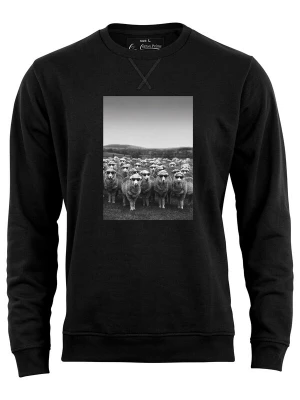 Foto van product Cotton Prime Sweatshirt 'Schafe' grijs / zwart