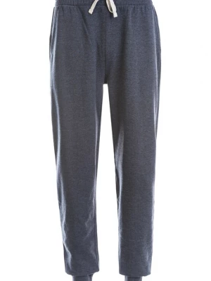 Foto van product Cruz Broek 'Regent' donkerblauw / lichtgrijs