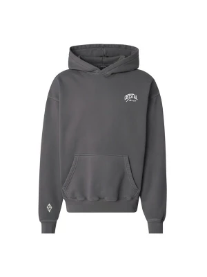 Foto van product Crystal Paris Sweatshirt 'Nightwolf' grijs