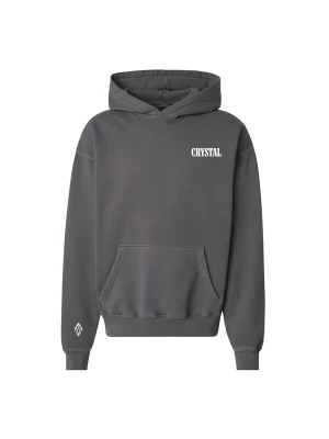 Foto van product Crystal Paris Sweatshirt 'Wolf' grijs