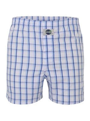 Foto van product D.E.A.L International Boxershorts blauw / lichtblauw / wit