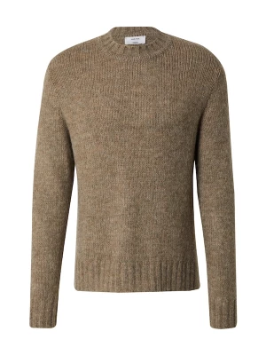 Foto van product DAN FOX APPAREL Trui 'Neo' bruin gemêleerd