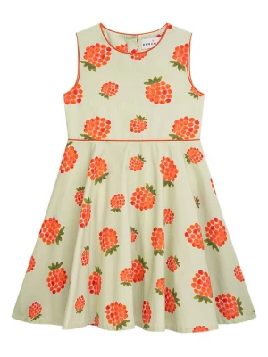Foto van product Danamade Jurk 'DVIOLA' groen / mintgroen / rood