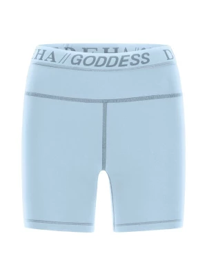 Foto van product DEHA Leggings lichtblauw / grijs