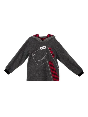 Foto van product Denokids Trui ' CFF-24S1-061 ' donkergrijs / rood / wit