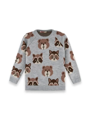 Foto van product Denokids Trui ' CFF-25S-065 ' bruin / grijs