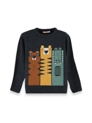 Foto van product Denokids Trui ' CFF-25S1-055 ' donkergrijs
