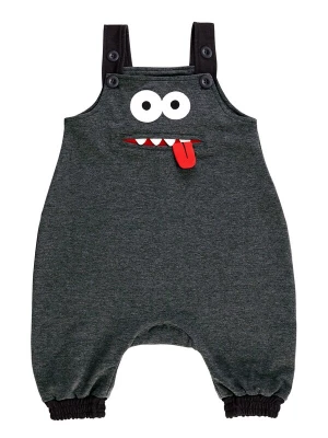 Foto van product Denokids Tuinbroek 'CFF-21Y1-083' grijs / rood / wit