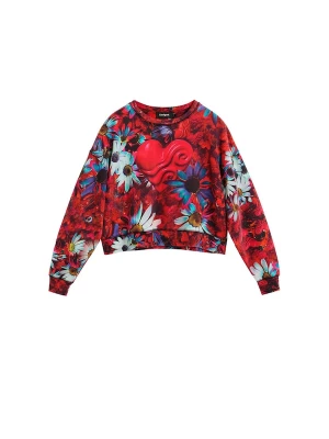 Foto van product Desigual Sweatshirt blauw / hemelsblauw / rood