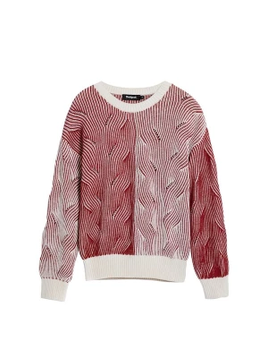 Foto van product Desigual Trui rood