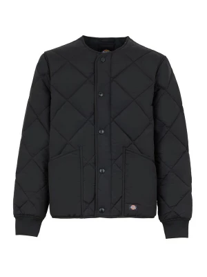 Foto van product DICKIES Tussenjas 'Samburg' zwart
