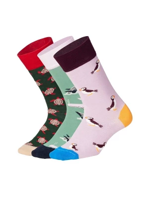 Foto van product DillySocks Sokken 'Ocean Enthusiasts' blauw / pastelgroen / lila / rood