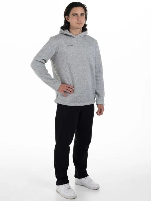 Foto van product Divina Sweatshirt 'Chilly' grijs