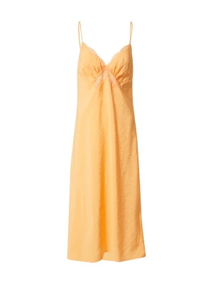 Foto van product Dorothy Perkins Jurk mandarijn