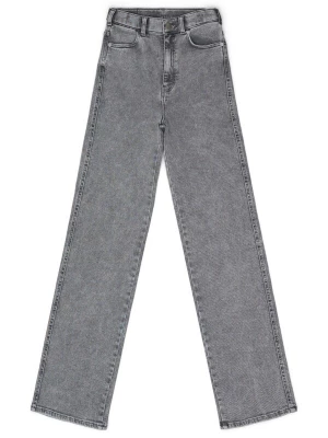 Foto van product Dr. Denim Jeans 'Moxy High Straight Jeans' grey denim