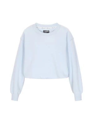 Foto van product DreiMaster Vintage Sweatshirt 'Vintage' pastelblauw