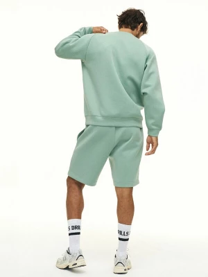 Foto van product DRILLS Apparel Sweatshirt 'RECREATION Scuba' lichtgroen