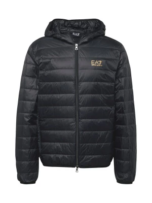Foto van product EA7 Emporio Armani Tussenjas goud / zwart