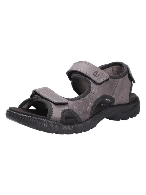 Foto van product ECCO Sandalen 'HIKE M' grijs