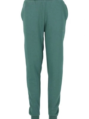 Foto van product ENDURANCE Sportbroek 'Glakrum' groen