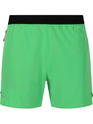 Foto van product ENDURANCE Sportbroek 'Letic' groen / zwart