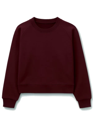 Foto van product Eoselio Sweatshirt bordeaux