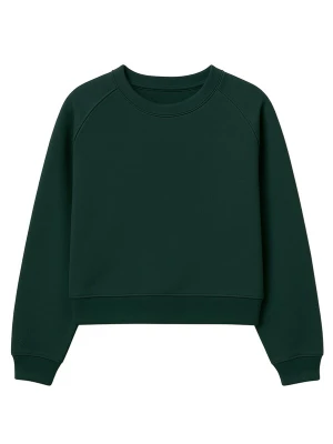 Foto van product Eoselio Sweatshirt donkergroen