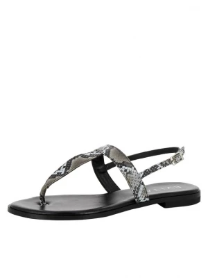 Foto van product EVITA Teenslipper 'OLIMPIA' grijs