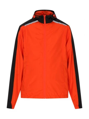 Foto van product BRAELYN Tussenjas grijs / oranje / zwart