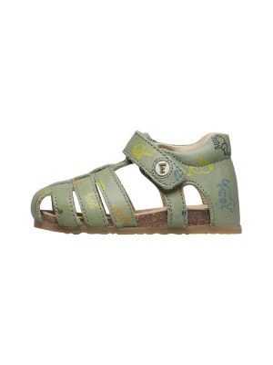 Foto van product Falcotto Open schoenen 'Alby' groen