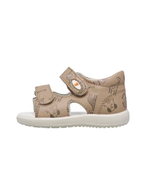 Foto van product Falcotto Open schoenen 'NEW RIVER' donkerbeige