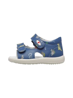 Foto van product Falcotto Open schoenen 'NEW RIVER' lichtblauw
