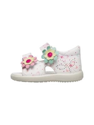 Foto van product Falcotto Sandalen 'MONGY' wit