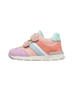 Foto van product Falcotto Sneakers 'DARM' roze gemêleerd