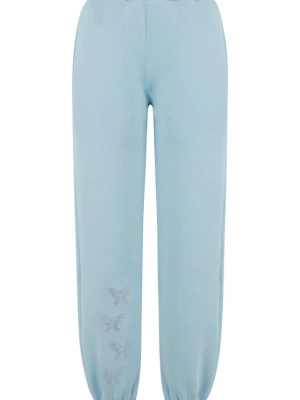 Foto van product Felicious Broek lichtblauw / zilver